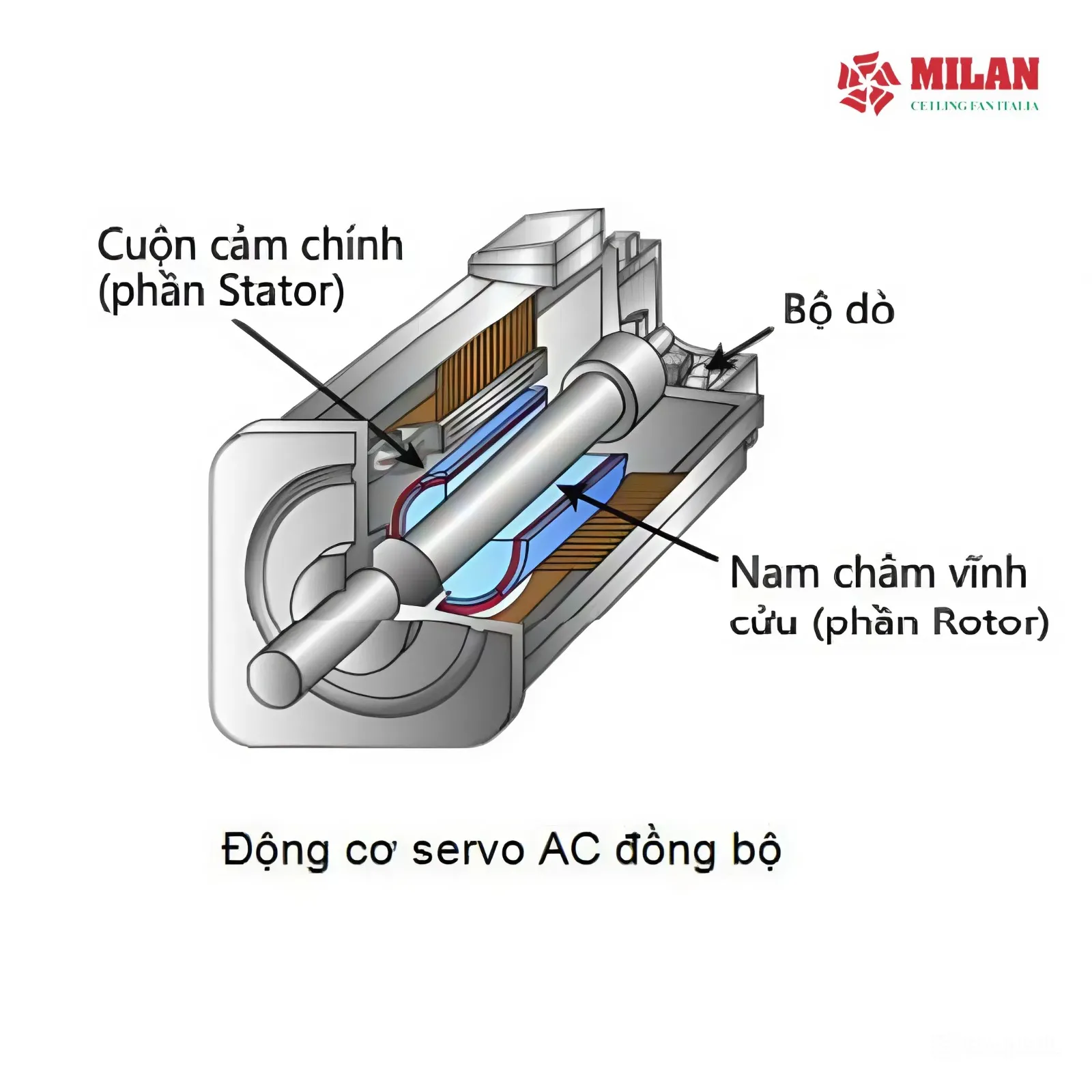 quat-tran-ac-va-dc-dong-co-ac